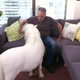 Illustration for article titled Jon Stewart Made an Appearance on Samantha Bees Show with a Tiny Horse